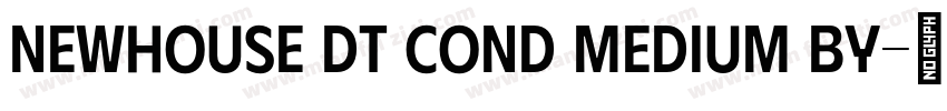Newhouse DT Cond Medium by字体转换